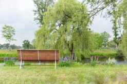 MaximaVida Tuinbank Budapest Oil 170 Cm - Uit Exclusief Mahoniehout -Tuin- En Buitenwinkels 1200x800 39