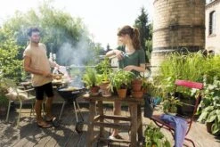 GARDENA - Terras Spiraalslang - 7.5 M Tuinslang - 9mm 11 GARDENA - Terras Spiraalslang - 7.5 M Tuinslang - 9mm -Tuin- En Buitenwinkels 1200x800 419