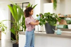 Elho Brussels Gieter 1,8l - Gieter Voor Binnenkweken En Oogsten - Ø 33.0 X H 17.0 Cm - Groen/Mint -Tuin- En Buitenwinkels 1200x800 421