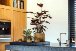 Capi Europe - Bloempot Bol Groove - 23x21 - Goud - Bloempot Voor Binnen - BGVGB134 -Tuin- En Buitenwinkels 1200x800 435