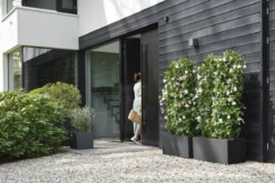 Elho Vivo Next Vierkant 30 - Plantenbak Voor Binnen & Buiten - Ø 29.5 X H 29.5 Cm - Zwart/Living Black -Tuin- En Buitenwinkels 1200x800 438