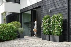 Elho Vivo Next Vierkant 30 - Plantenbak Voor Binnen & Buiten - Ø 29.5 X H 29.5 Cm - Zwart/Living Black -Tuin- En Buitenwinkels 1200x800 440