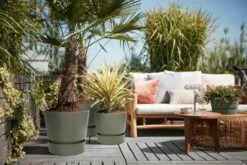 Elho Greenville Rond 30 - Grote Bloempot Voor Buiten - Gemaakt Van Gereycled Plastic - Ø 29.5 X H 27.8 Cm - Blad Groen -Tuin- En Buitenwinkels 1200x801 26