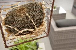 Garden Impressions Montana Loungeset - Organic Grey -Tuin- En Buitenwinkels 1200x801 9