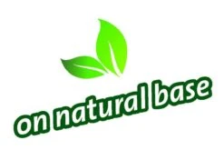 Topbuxus Buxus Health Mix -Tuin- En Buitenwinkels 1200x803 4