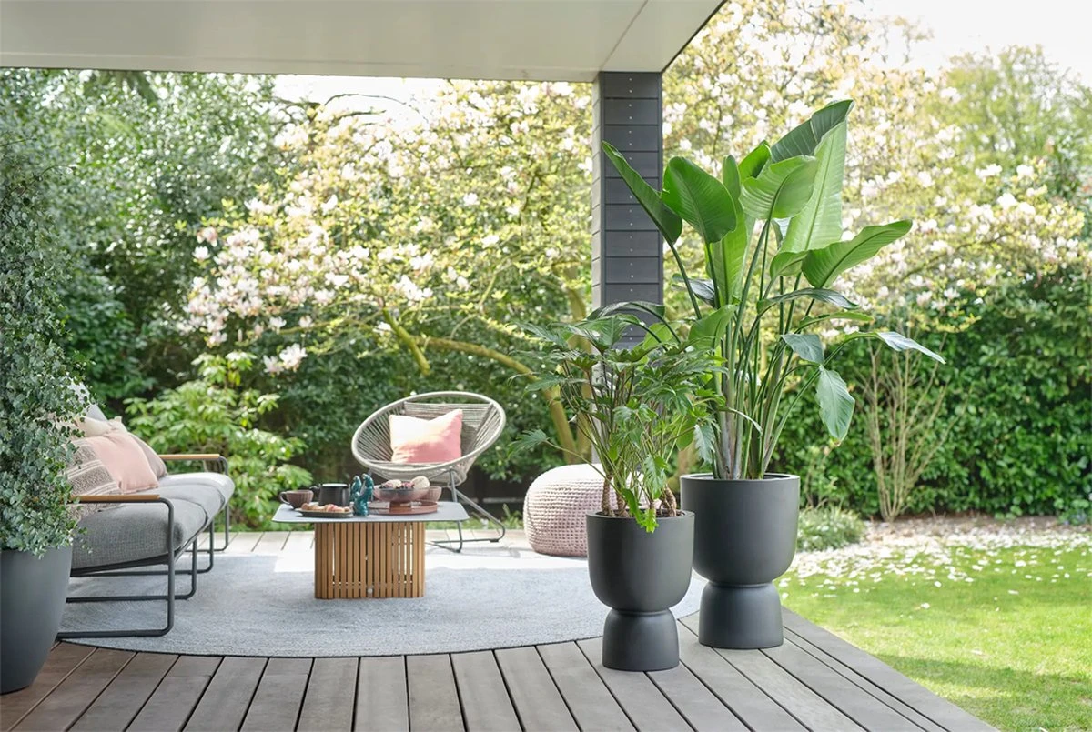 Elho Pure Coupe 35 - Bloempot Voor Binnen & Buiten - Ø 34.9 X H 49.0 Cm - Zwart/Zwart 15 Elho Pure Coupe 35 - Bloempot Voor Binnen & Buiten - Ø 34.9 X H 49.0 Cm - Zwart/Zwart - Afbeelding 15