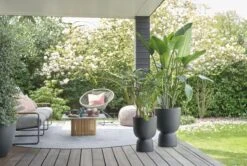 Elho Pure Coupe 35 - Bloempot Voor Binnen & Buiten - Ø 34.9 X H 49.0 Cm - Zwart/Zwart 23 Elho Pure Coupe 35 - Bloempot Voor Binnen & Buiten - Ø 34.9 X H 49.0 Cm - Zwart/Zwart -Tuin- En Buitenwinkels 1200x805 9