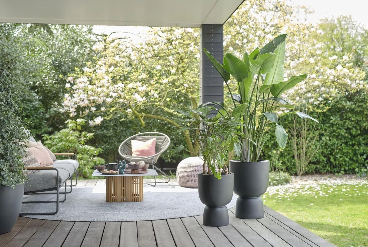 Elho Pure Coupe 35 - Bloempot Voor Binnen & Buiten - Ø 34.9 X H 49.0 Cm - Zwart/Zwart 4 Elho Pure Coupe 35 - Bloempot Voor Binnen & Buiten - Ø 34.9 X H 49.0 Cm - Zwart/Zwart - Afbeelding 4