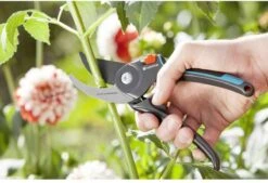 GARDENA Comfort B/M Bypass Snoeischaar - Ø 24mm - Met Sapgeul -Tuin- En Buitenwinkels 1200x822 1