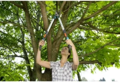 GARDENA - TeleCut Telescopische - Takkenschaar 520-670B - 42 Mm Verstelbare Lengte -Tuin- En Buitenwinkels 1200x825 6