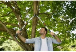 Gardena TeleCut Takkenschaar 650-900 B - Uitschuifbare Armen - Tot Max 90 Cm -Tuin- En Buitenwinkels 1200x826 4