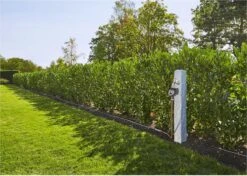 GARDENA - Besproeiingscomputer Flex - Geen App Vereist 18 GARDENA - Besproeiingscomputer Flex - Geen App Vereist -Tuin- En Buitenwinkels 1200x856 7