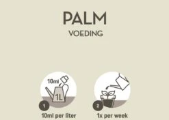 Pokon Palm Voeding - 250ml - Plantenvoeding - 10ml Per 1L Water 10 Pokon Palm Voeding - 250ml - Plantenvoeding - 10ml Per 1L Water -Tuin- En Buitenwinkels 1200x856 8