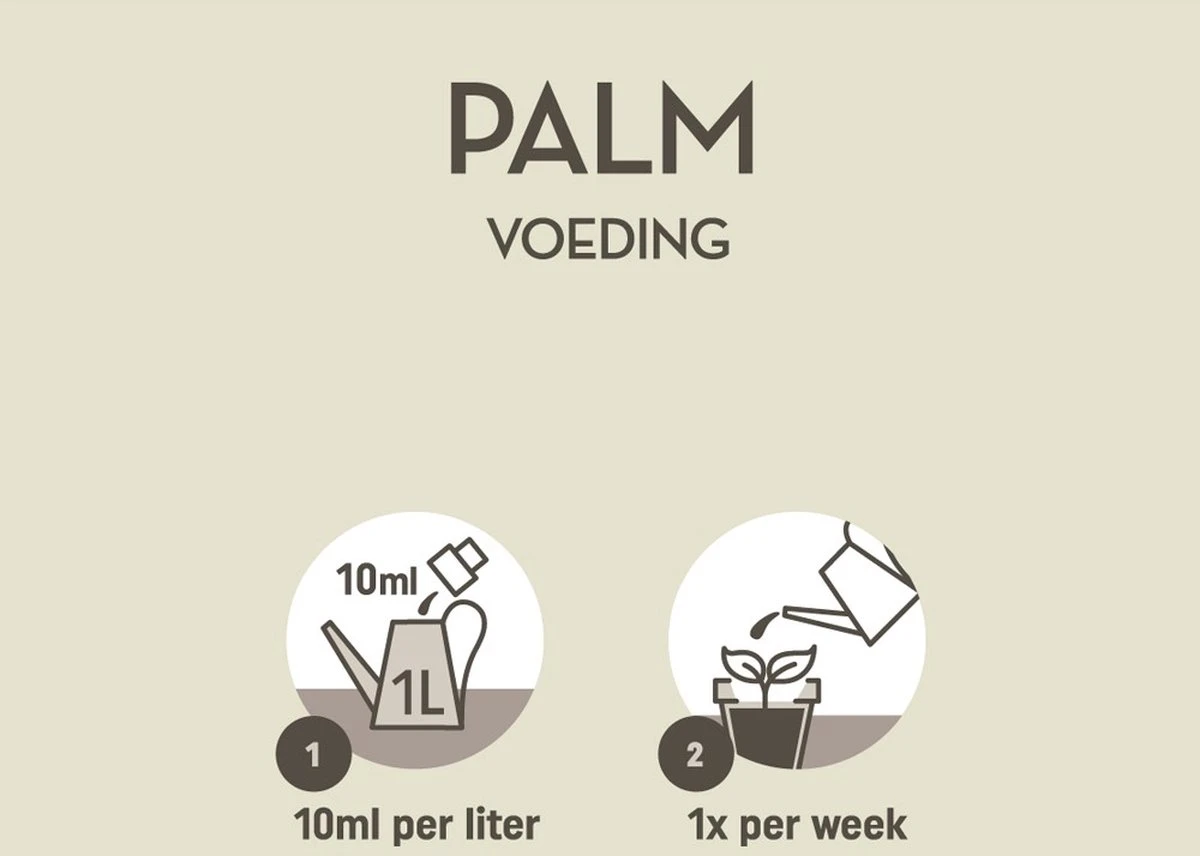 Pokon Palm Voeding - 250ml - Plantenvoeding - 10ml Per 1L Water 3 Pokon Palm Voeding - 250ml - Plantenvoeding - 10ml Per 1L Water - Afbeelding 3