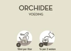 Pokon Orchidee Voeding - 250ml - Plantenvoeding - 10ml Per 1L Water 8 Pokon Orchidee Voeding - 250ml - Plantenvoeding - 10ml Per 1L Water -Tuin- En Buitenwinkels 1200x856 9