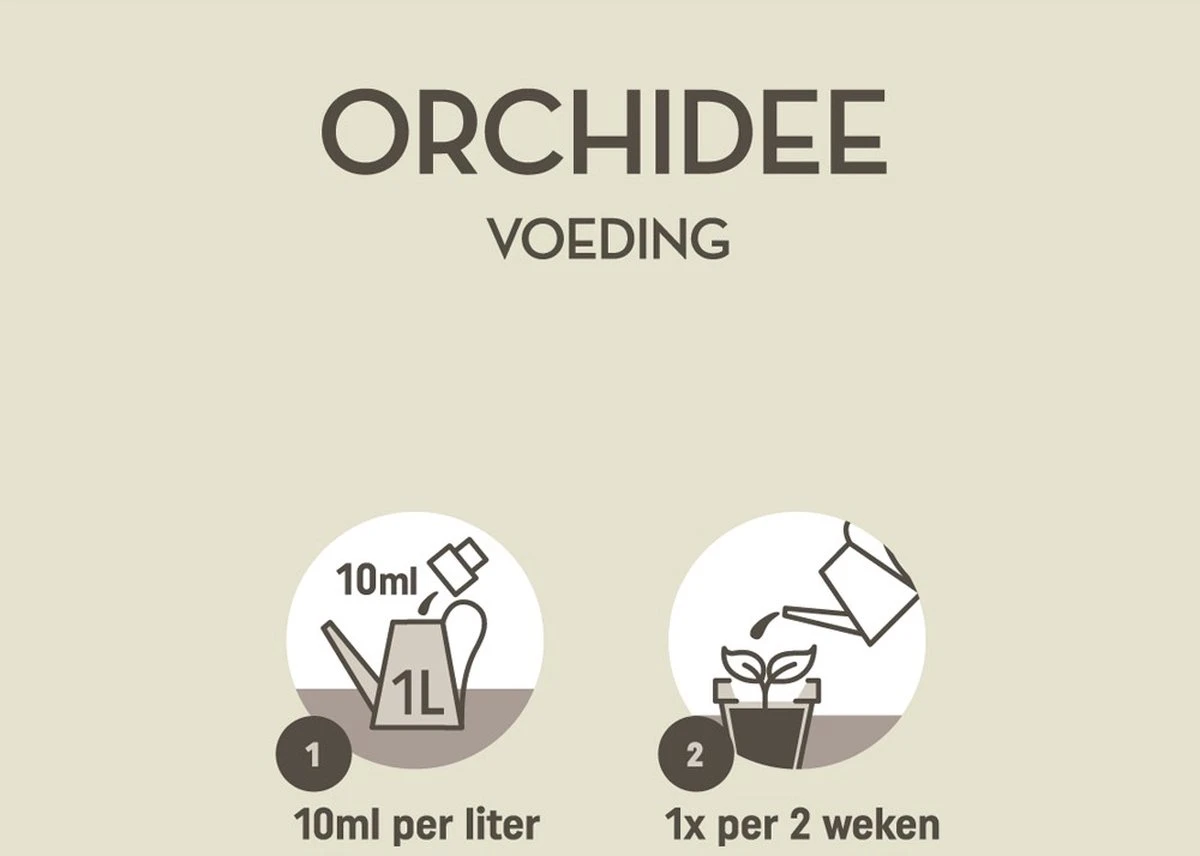 Pokon Orchidee Voeding - 250ml - Plantenvoeding - 10ml Per 1L Water 3 Pokon Orchidee Voeding - 250ml - Plantenvoeding - 10ml Per 1L Water - Afbeelding 3