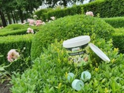 Topbuxus Buxus Health Mix -Tuin- En Buitenwinkels 1200x899 33