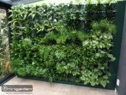 Minigarden Vertical Verticale Tuin - Wit 9 Minigarden Vertical Verticale Tuin - Wit -Tuin- En Buitenwinkels 1200x900 80