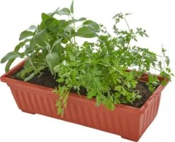 Tectake - Verticaal Plantenrek Met 4 Bakken - 403445 -Tuin- En Buitenwinkels 1200x975 2