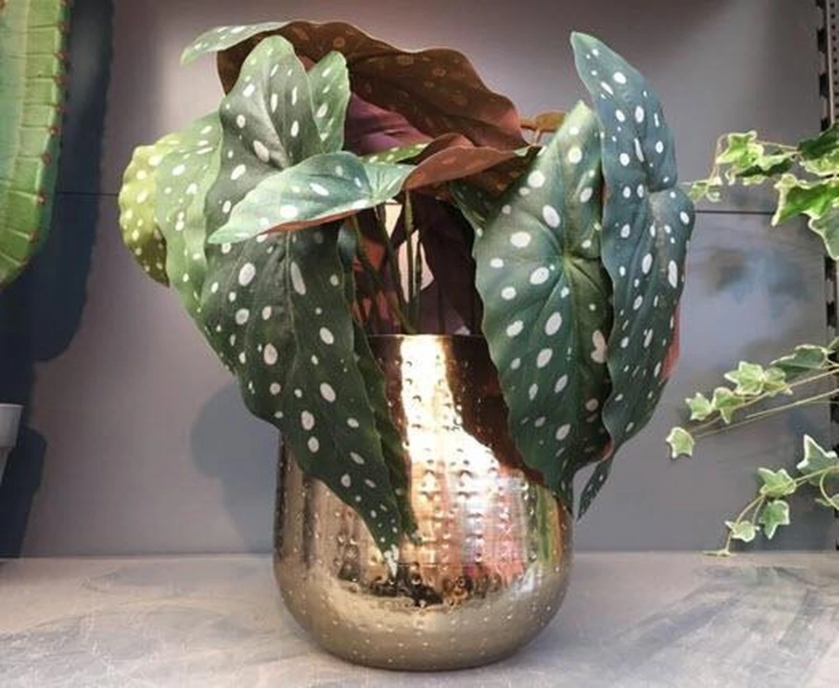 Gina Da Bloempot Karakter Goud - XL 4 Gina Da Bloempot Karakter Goud - XL - Afbeelding 4