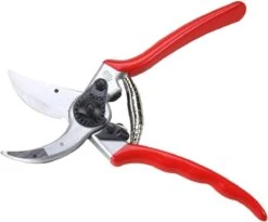 Felco 2 Snoeischaar - Rechtshandig - Max. Knipdiameter 25 Mm - Lengte 215 Mm 22 Felco 2 Snoeischaar - Rechtshandig - Max. Knipdiameter 25 Mm - Lengte 215 Mm -Tuin- En Buitenwinkels 1200x997 2