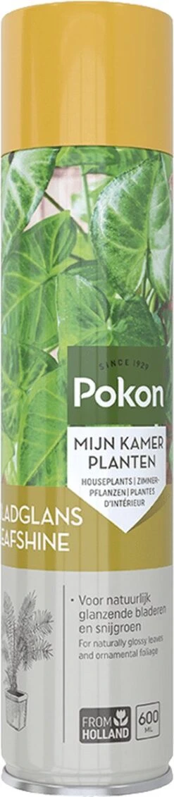Pokon Bladglans 600ml -Tuin- En Buitenwinkels 262x1200 1