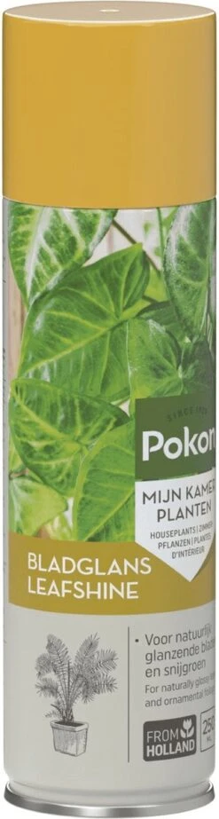 Pokon Bladglans 600ml -Tuin- En Buitenwinkels 321x1200 1