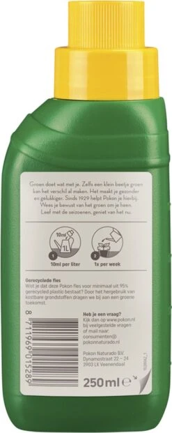 Pokon Palm Voeding - 250ml - Plantenvoeding - 10ml Per 1L Water 11 Pokon Palm Voeding - 250ml - Plantenvoeding - 10ml Per 1L Water -Tuin- En Buitenwinkels 477x1200 1
