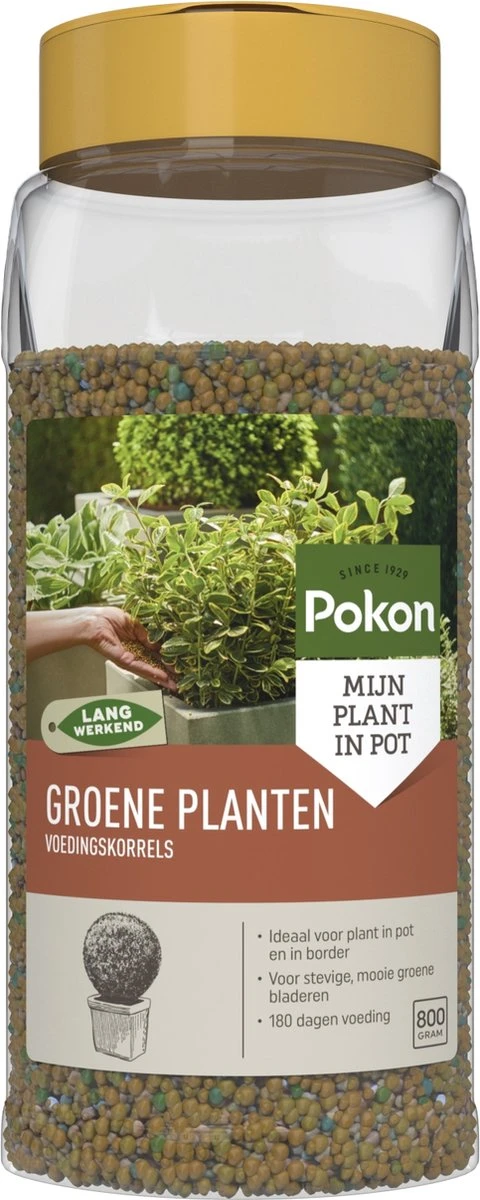 Pokon Voedingskorrels Voor Groene Planten - 800gr - 180 Dagen Voeding - Plantenvoeding 1 Pokon Voedingskorrels Voor Groene Planten - 800gr - 180 Dagen Voeding - Plantenvoeding