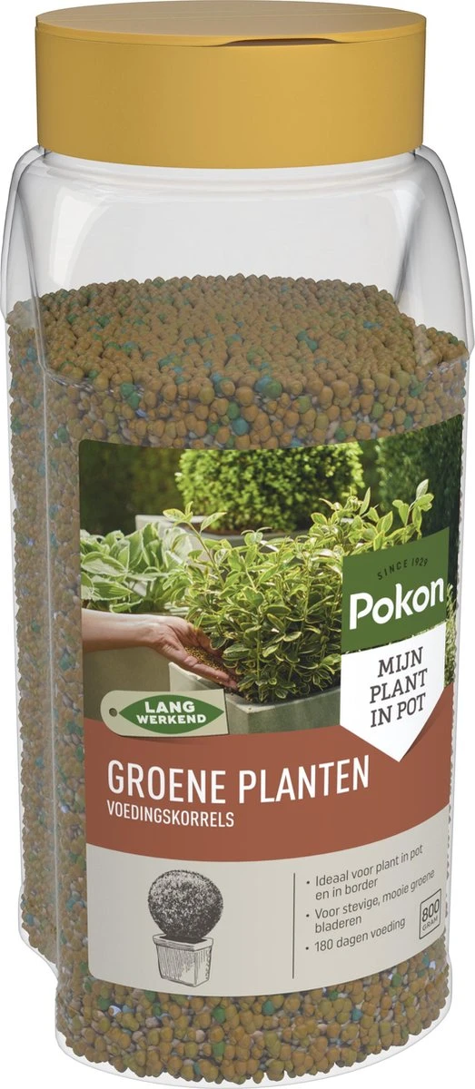 Pokon Voedingskorrels Voor Groene Planten - 800gr - 180 Dagen Voeding - Plantenvoeding 2 Pokon Voedingskorrels Voor Groene Planten - 800gr - 180 Dagen Voeding - Plantenvoeding - Afbeelding 2