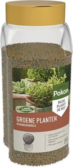 Pokon Voedingskorrels Voor Groene Planten - 800gr - 180 Dagen Voeding - Plantenvoeding 12 Pokon Voedingskorrels Voor Groene Planten - 800gr - 180 Dagen Voeding - Plantenvoeding -Tuin- En Buitenwinkels 524x1200 1