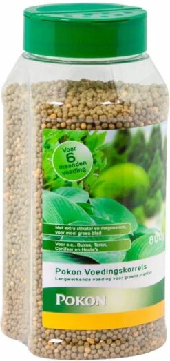 Pokon Voedingskorrels Voor Groene Planten - 800gr - 180 Dagen Voeding - Plantenvoeding 13 Pokon Voedingskorrels Voor Groene Planten - 800gr - 180 Dagen Voeding - Plantenvoeding -Tuin- En Buitenwinkels 566x1200