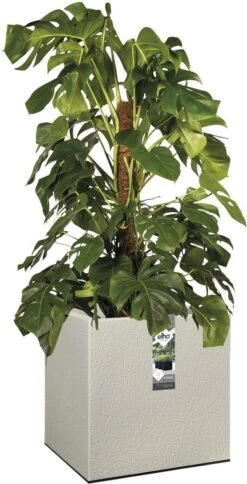 Elho Vivo Structure Finish Vierkant 40 - Plantenbak Voor Binnen & Buiten - Ø 39 X H 41 - Grijs/Warm Grijs -Tuin- En Buitenwinkels 613x1200 2