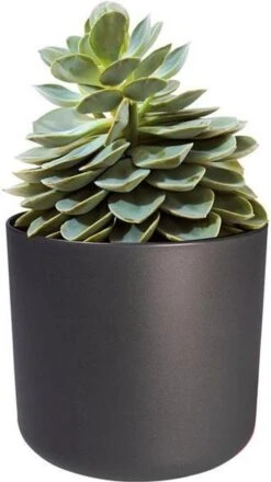 Elho B.for Soft Rond 22 - Bloempot Voor Binnen - Ø 22.3 X H 20.4 Cm - Zwart/Antraciet -Tuin- En Buitenwinkels 674x1200