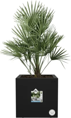 Elho Vivo Next Vierkant 40 - Plantenbak Voor Binnen & Buiten - Ø 39.0 X H 37.9 Cm - Zwart/Living Black -Tuin- En Buitenwinkels 720x1200 1