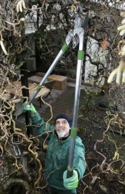 Telescopische Takkenschaar, 6-voudig -Tuin- En Buitenwinkels 775x1200 1