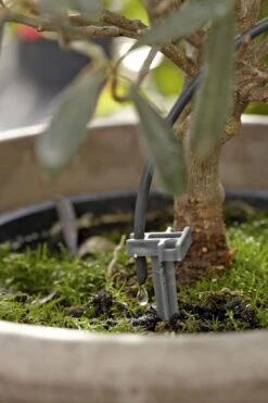 GARDENA Vakantiebewateringsset Duppelsysteem - Geschikt Voor 36 Potplanten - Incl. 9l Vat 15 GARDENA Vakantiebewateringsset Duppelsysteem - Geschikt Voor 36 Potplanten - Incl. 9l Vat -Tuin- En Buitenwinkels 799x1200 53