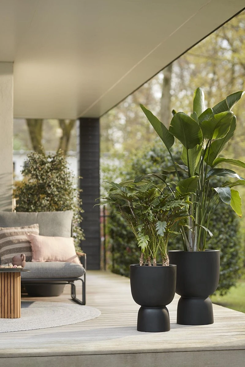 Elho Pure Coupe 35 - Bloempot Voor Binnen & Buiten - Ø 34.9 X H 49.0 Cm - Zwart/Zwart 18 Elho Pure Coupe 35 - Bloempot Voor Binnen & Buiten - Ø 34.9 X H 49.0 Cm - Zwart/Zwart - Afbeelding 18