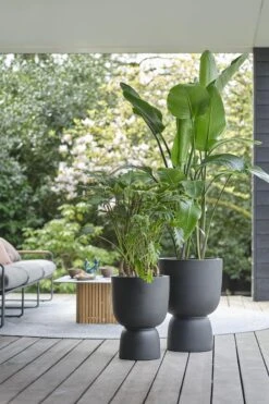 Elho Pure Coupe 35 - Bloempot Voor Binnen & Buiten - Ø 34.9 X H 49.0 Cm - Zwart/Zwart 39 Elho Pure Coupe 35 - Bloempot Voor Binnen & Buiten - Ø 34.9 X H 49.0 Cm - Zwart/Zwart -Tuin- En Buitenwinkels 800x1200 117