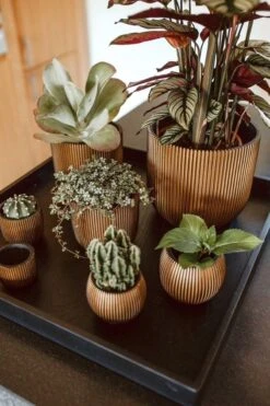 Capi Europe - Bloempot Bol Groove - 23x21 - Goud - Bloempot Voor Binnen - BGVGB134 -Tuin- En Buitenwinkels 800x1200 118