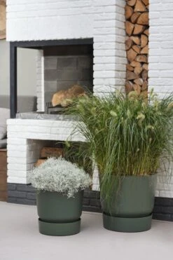 Elho Greenville Rond 30 - Grote Bloempot Voor Buiten - Gemaakt Van Gereycled Plastic - Ø 29.5 X H 27.8 Cm - Blad Groen -Tuin- En Buitenwinkels 800x1200 120