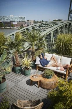 Elho Greenville Rond 30 - Grote Bloempot Voor Buiten - Gemaakt Van Gereycled Plastic - Ø 29.5 X H 27.8 Cm - Blad Groen -Tuin- En Buitenwinkels 800x1200 121