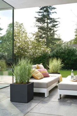 Elho Vivo Next Vierkant 30 - Plantenbak Voor Binnen & Buiten - Ø 29.5 X H 29.5 Cm - Zwart/Living Black -Tuin- En Buitenwinkels 800x1200 124