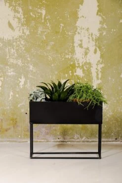 SENZA Rechthoekige Plantenbak - Bloemenbak Ijzer - 42.5 X 34cm - Zwart -Tuin- En Buitenwinkels 800x1200 126