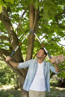 Gardena TeleCut Takkenschaar 650-900 B - Uitschuifbare Armen - Tot Max 90 Cm -Tuin- En Buitenwinkels 800x1200 78