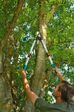 Gardena TeleCut Takkenschaar 650-900 B - Uitschuifbare Armen - Tot Max 90 Cm -Tuin- En Buitenwinkels 801x1200 4