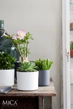 Mica Decorations Era Bloempot - H26 X Ø28 Cm - Wit 12 Mica Decorations Era Bloempot - H26 X Ø28 Cm - Wit -Tuin- En Buitenwinkels 803x1200 6