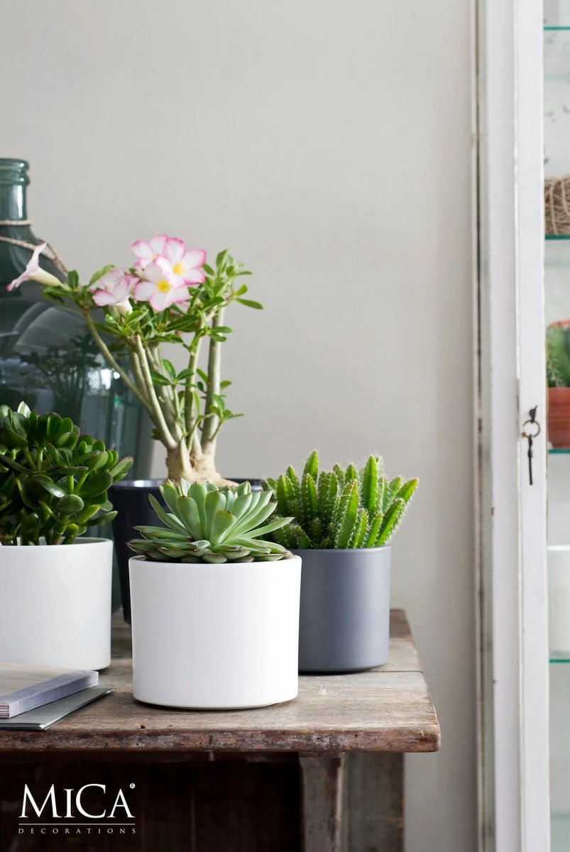 Mica Decorations Era Bloempot - H26 X Ø28 Cm - Wit 6 Mica Decorations Era Bloempot - H26 X Ø28 Cm - Wit - Afbeelding 6