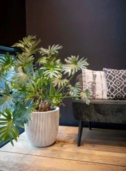 Capi Europe - Bloempot Bol Groove NL - 43x41 - Zwart - Voor Binnen En Buiten - KGVBL933 -Tuin- En Buitenwinkels 883x1200 1