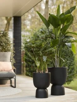 Elho Pure Coupe 35 - Bloempot Voor Binnen & Buiten - Ø 34.9 X H 49.0 Cm - Zwart/Zwart 29 Elho Pure Coupe 35 - Bloempot Voor Binnen & Buiten - Ø 34.9 X H 49.0 Cm - Zwart/Zwart -Tuin- En Buitenwinkels 900x1200 18